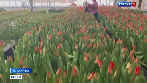 �������� ����. ������ �������� ������ ������������ � �������� ������������� ���������