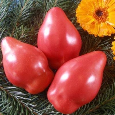 ����� ����� ���: ��������� ����� ��� ������� ����� ������