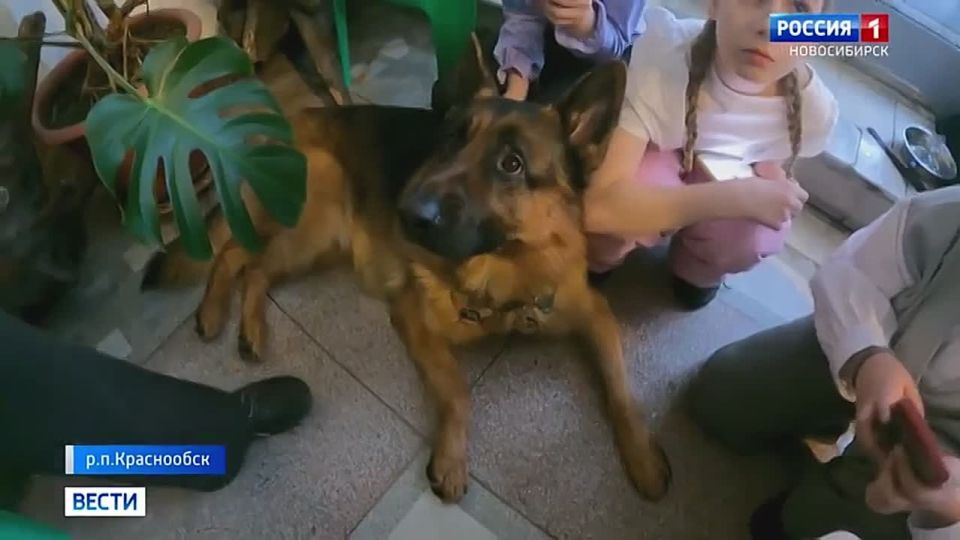 ������� ���. ����� ���� ����� ������ ������ ������-���������� ����� �������� ��� � �����������