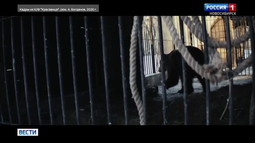 �� ��� �����, � ��� ����. ����������� ����� �� ������ ������ ������� ����� ���������� ����� � ��������� ����������, ��� ������� ����� ������������