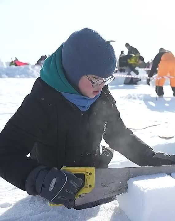 ������ ���������: ��� ���� ����� ������� ����� ��������� ��� � ��������� �����-2026. ����� ��������� �� ����� ���������