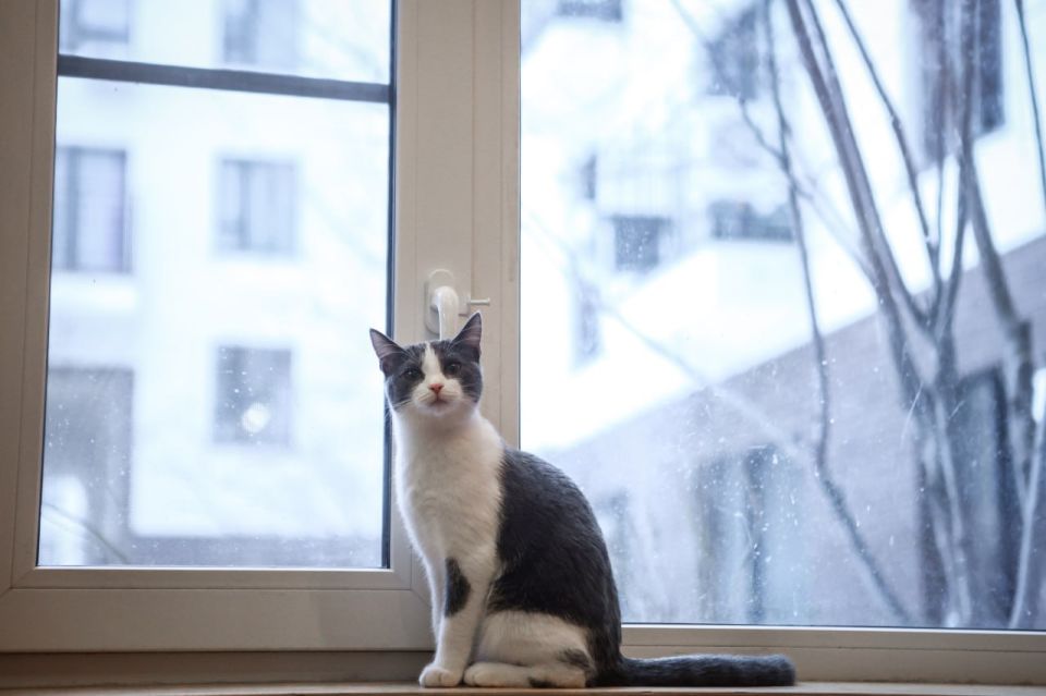 ������ ��� ������ �18� � ��������� �����, 4 �/c