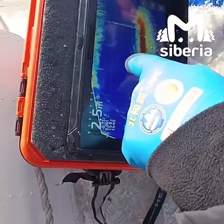 ��������� ������� ���������� ������ � ������������