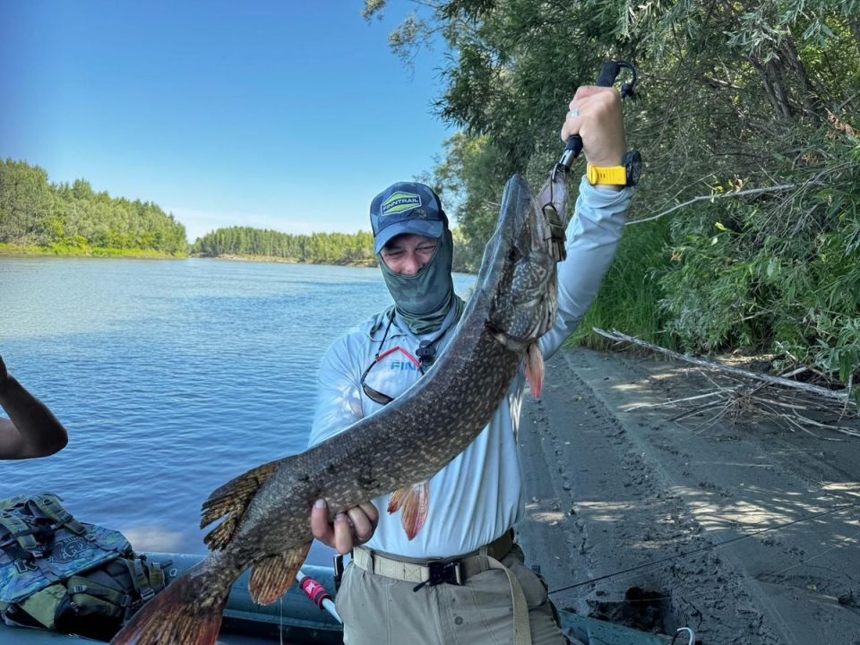 ��������� ����� �� ���