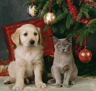 ������ � ������: ����� ����� �� ����� ������������ ������ � ������ ����