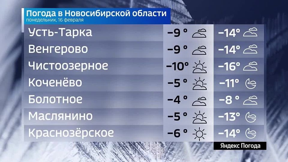 ����� �����������