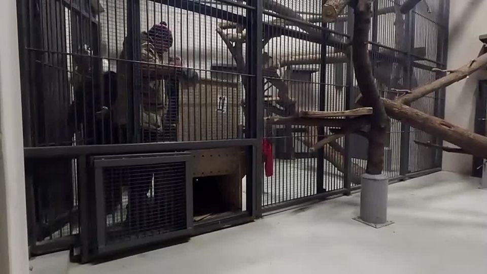 ������� �������: ��� �������� ������ ���������� �������������� ��������