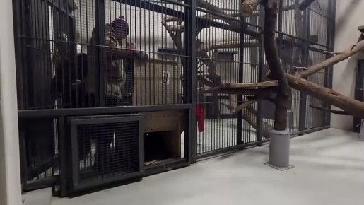 ������� �������: ��� �������� ������ ���������� �������������� ��������