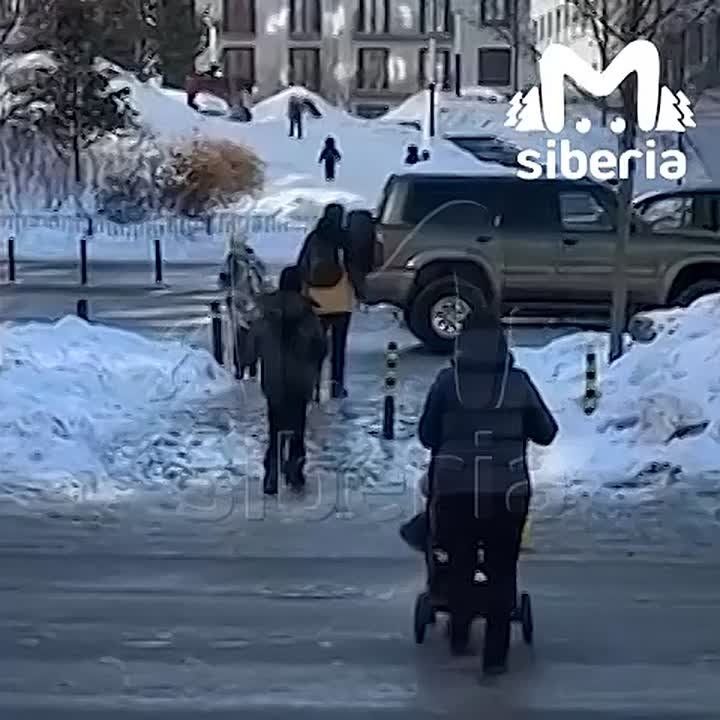 ���� � ��������� ���-��� ���������� ����� �� �������������� "������������ ������"