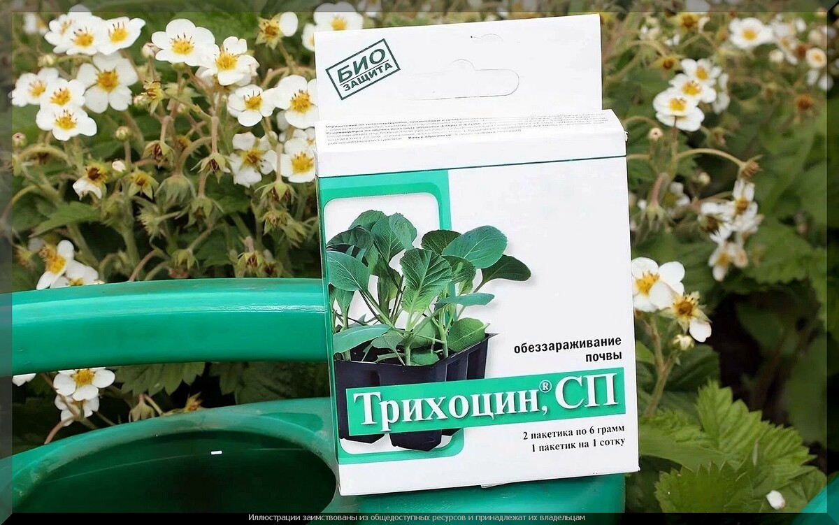 Все о биопрепаратах: польза, применение и секреты успеха