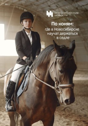 Год лошади наступил: теперь официально