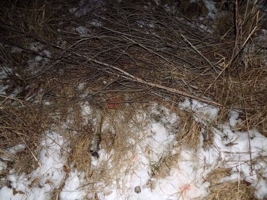 ������� ���������� ����� ����� �� ���������� �����