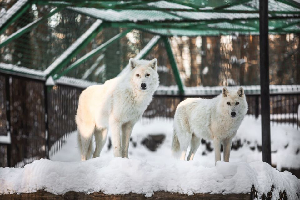 ������������� ������� � 17 ������� ������� ���� ������ � �����