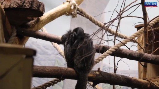 ���������� � ���������. ��������� ���� �������������� �������� ����� ������! � ��������� �������� ������