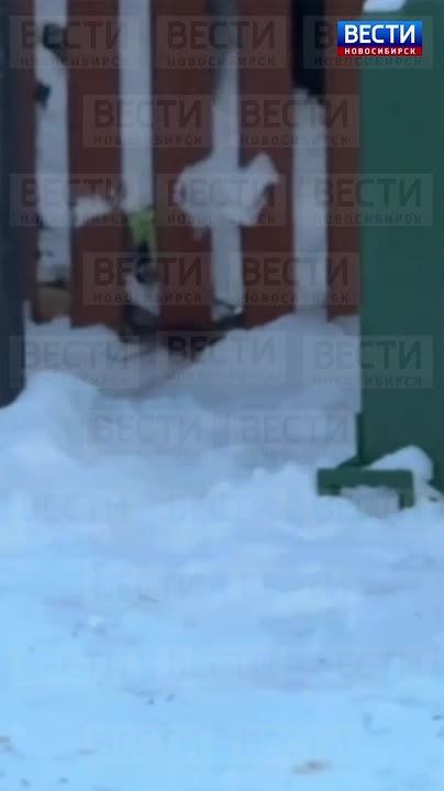 �������� ���. ������ �� ������� �� ����� ������������� � ������������ ���� �������: �������� ���������� ����������� ������ ������, � ����������� ��� � �� ����������