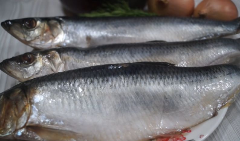 �������� ��������� ������� �������: �������� ������ ��� ������� ��������