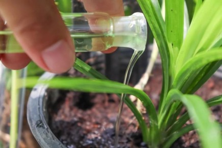 �������� �������: ������� ��������� �������