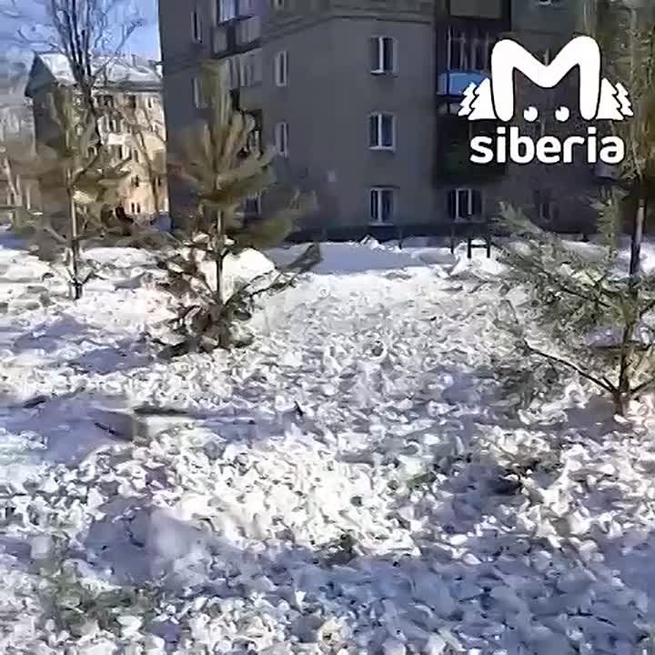 ������������� �������� ������ ������� ������� � ������������