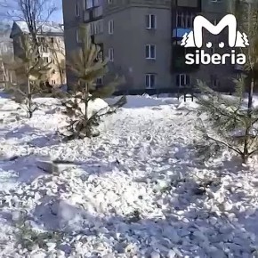 ������������� �������� ������ ������� ������� � ������������