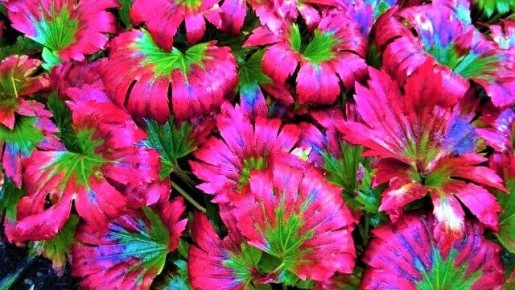 �������������� ����������� � ���������� ������� ��� ������ ����