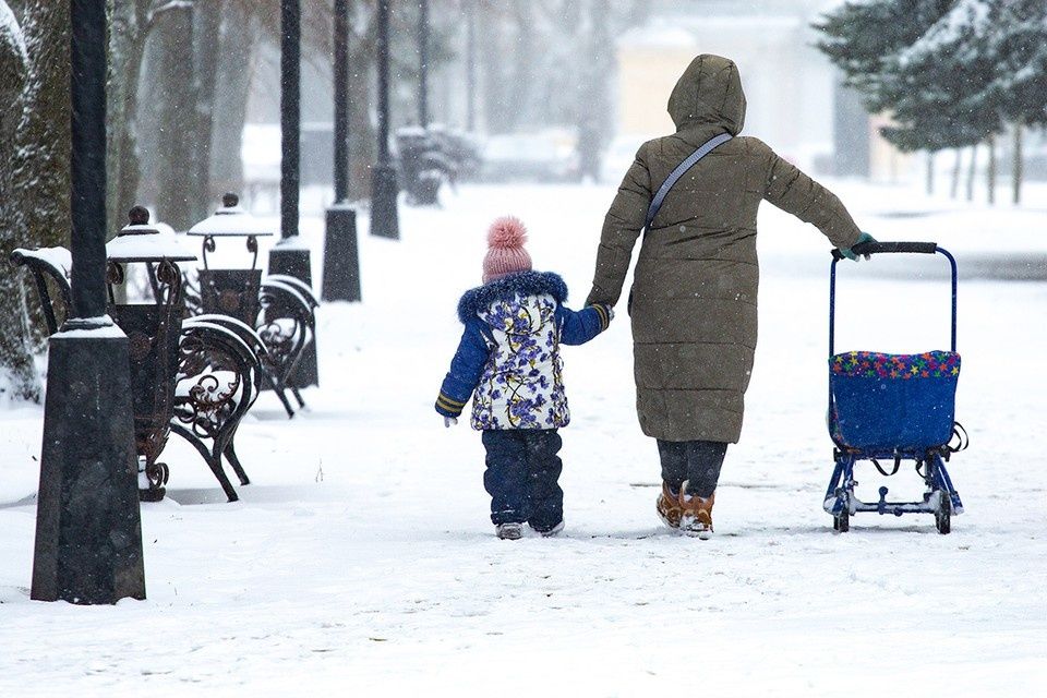 ����� ������� ��������� ������� �� �����: ��� ��� �������