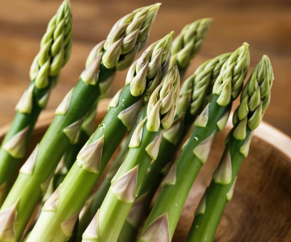 ������ �� ����� �������: ������� ��������� �����������