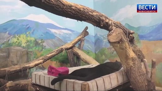 ������� ���. � ������������� �������� ������� ����� �������� �������, ��� ����� � �� ��� ����