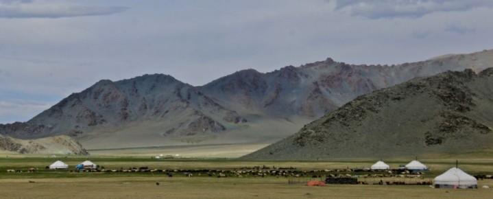 ���������������� �������� ����: �� �������� ����������� �� �������� ��������