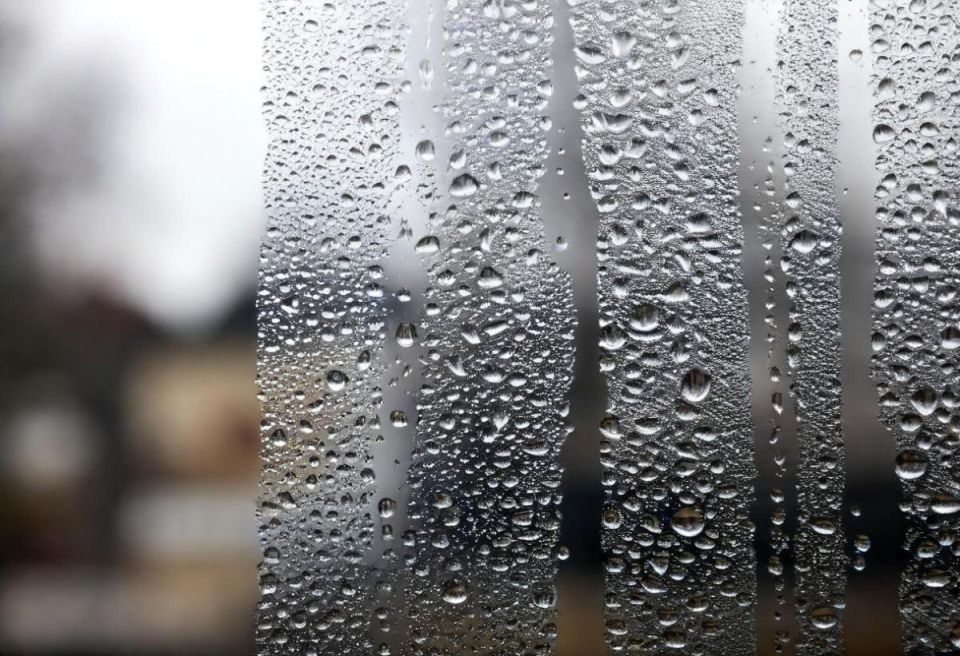 ��� ����� �� ���� ���������� �� ���������� �� ����� � ������� ����