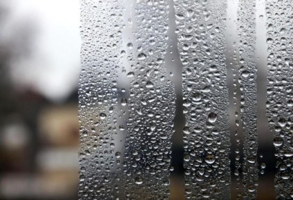 ��� ����� �� ���� ���������� �� ���������� �� ����� � ������� ����