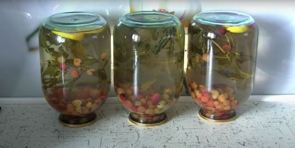 ������ �� ����������: ������ ������ ��� ��������� ��������