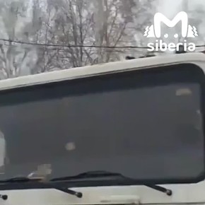 ��� ���� ����������, ������ � ������������ ������ �������� ����� � �������� �������