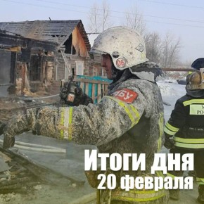 За сутки в Новосибирской области: