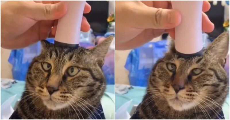 Точечный массаж для мгновенного расслабления