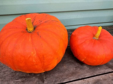 ���-3 ���� � ������, ������� ����� �����������