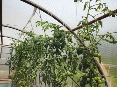 ��� ������, ���� �������� ��������� ����� � �������?