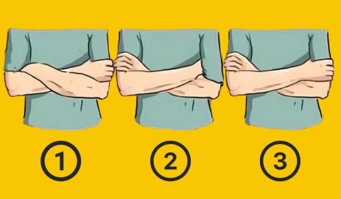 �������� ���� �������: ������������� ��������������� ���� �� ������