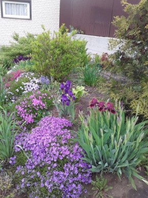 ����� ����������: ����� �� ����� ��� ���� ����� �������