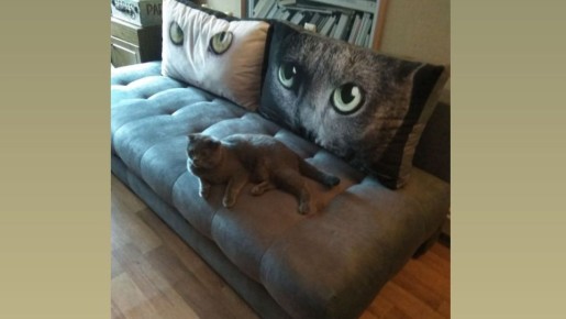 ��� �������� ����� ��� ���������: ������� ������ ��� ����