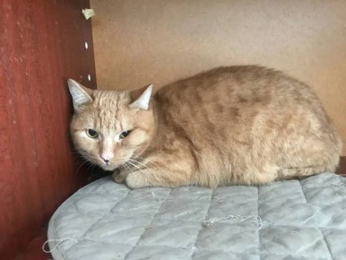 ��� ������� ������: ������������� ��������� ���� ������ ��� 20 �����, ������� ����� � ������ ��������