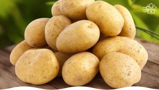 ������: ��������� ���������� ��� ������ �����