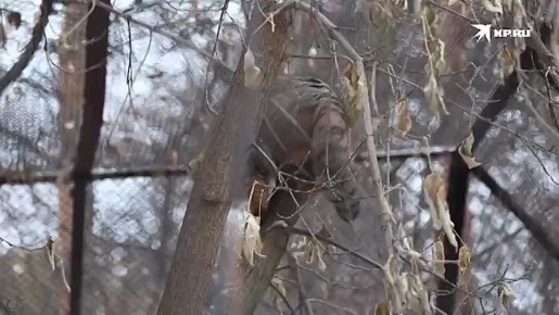 � ������� � ������������� �������� �������� ���! ����� �� ����� ���� ������, �� ����� ������ ��� �� ����� ���������� � ���������� �������� �����