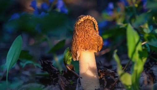 � 1 �������� �� ���� ������ ������ � ������������� ������� ������ ������� ������