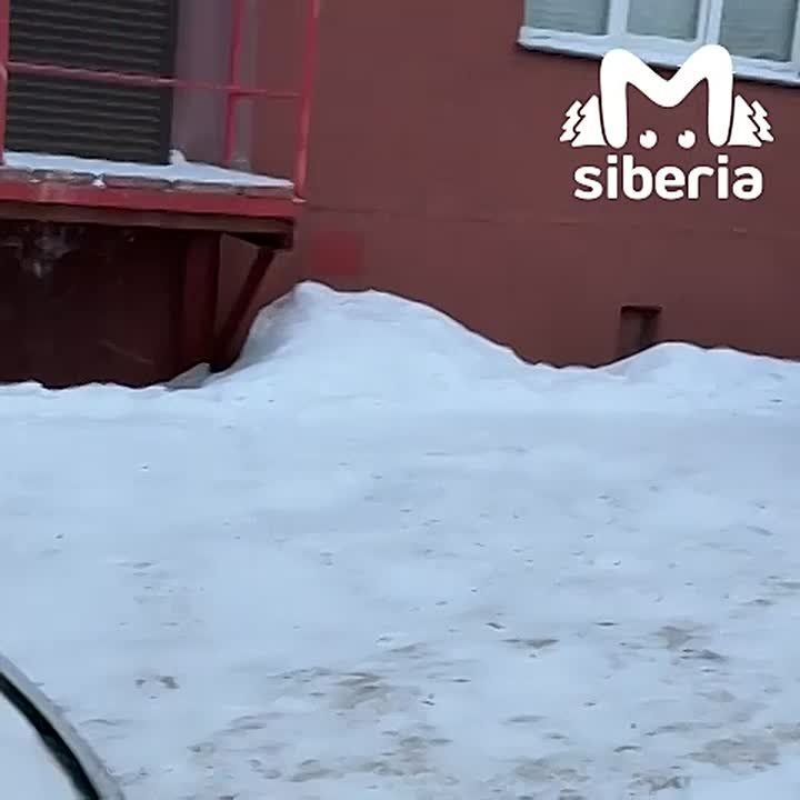 �������� �������� �������� ������� ������ � ������������