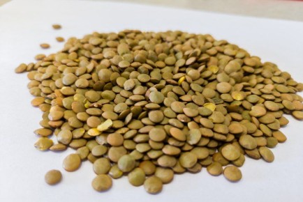 ������������� ������ ���������� �������� ���� ������ � ������� ����