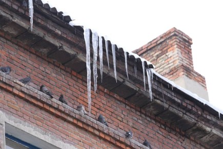 ������ ���������: 90% ���� ��������������� ���������� ������� �� ����� � ������