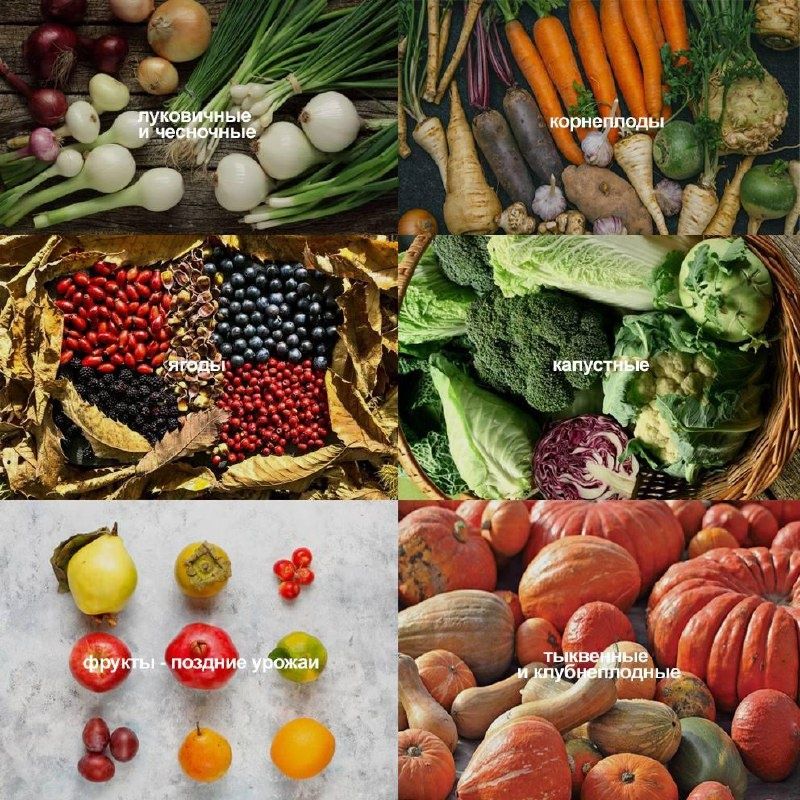 Как сезонные продукты осени укрепляют здоровье