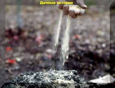 ��� ��������� �������� ����� ������ ��� �������� ������