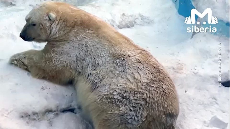 ��� �� � ����� �������� ��� ����������� ����� ������ ���� �� �������������� �������� � ������ ����������