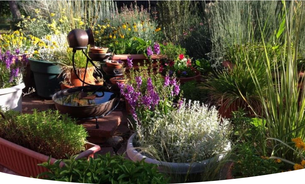 Контейнерный сад: искусство цветочных композиций для вашего уголка природы